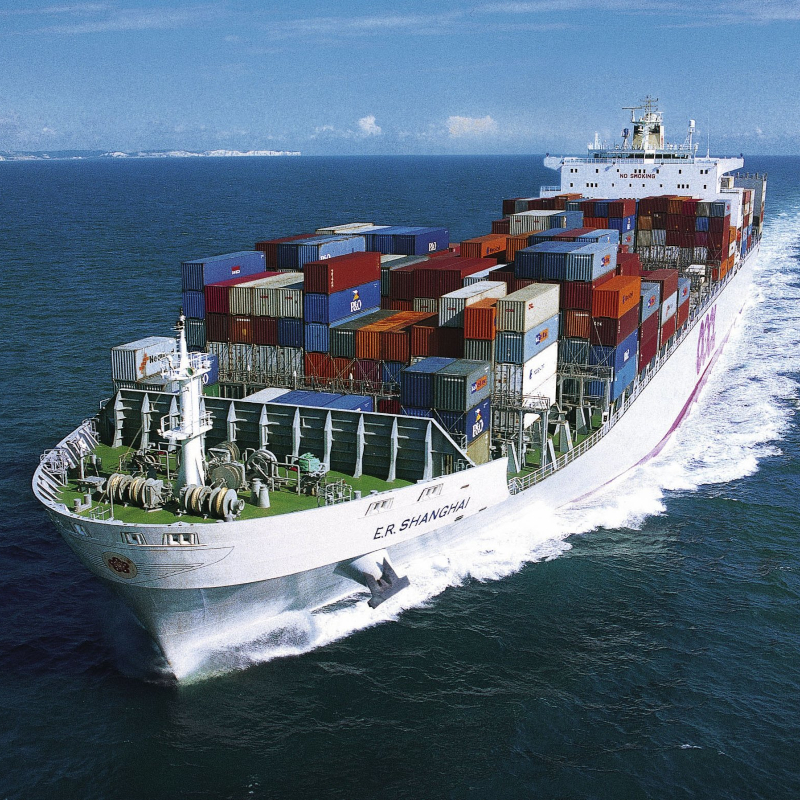 thumb-1920-431437 800x800